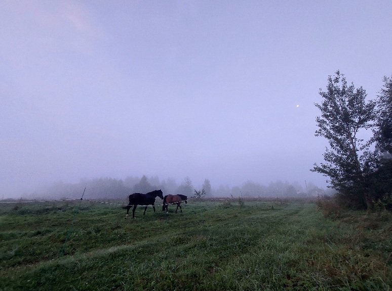20250812_045433.jpg
