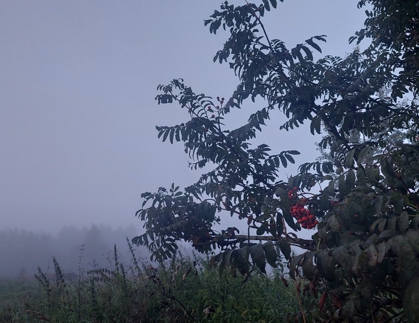 20250812_045925.jpg