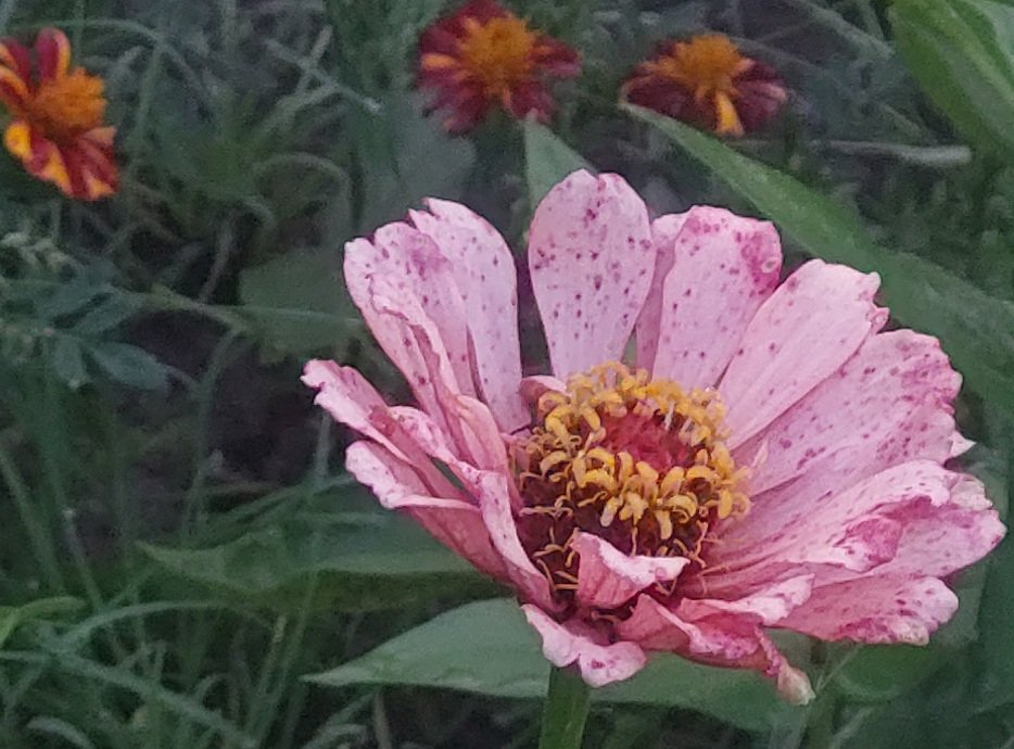 20250812_050527.jpg