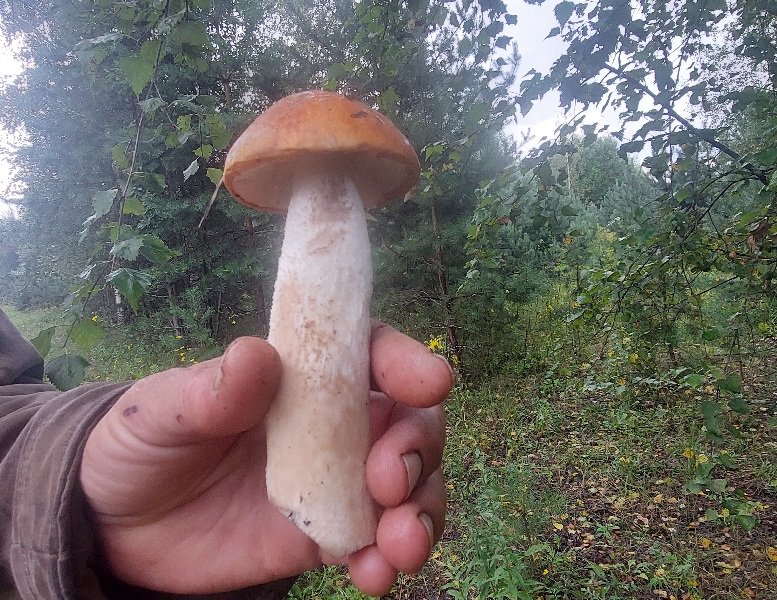 20250813_150833.jpg