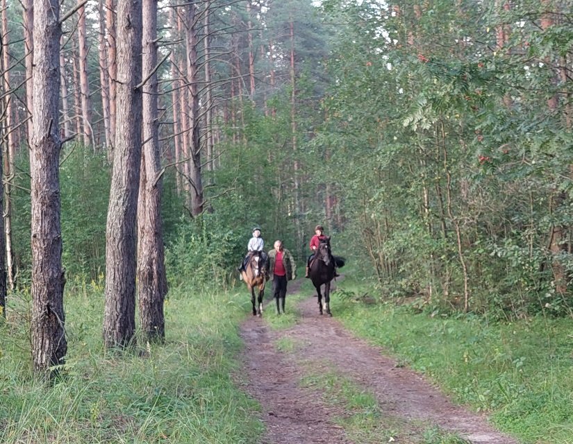 20250814_185715.jpg
