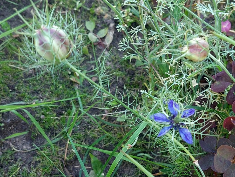 20250815_181513.jpg