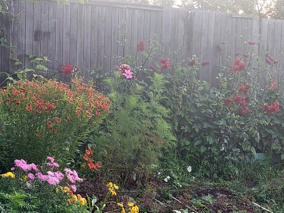 20250820_061459.jpg