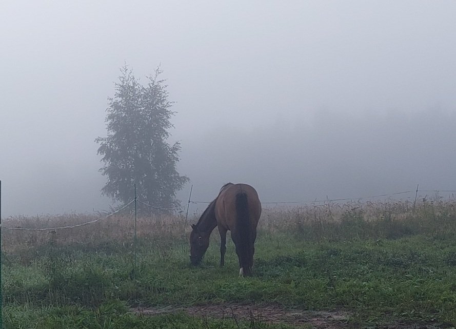 20250824_053316.jpg