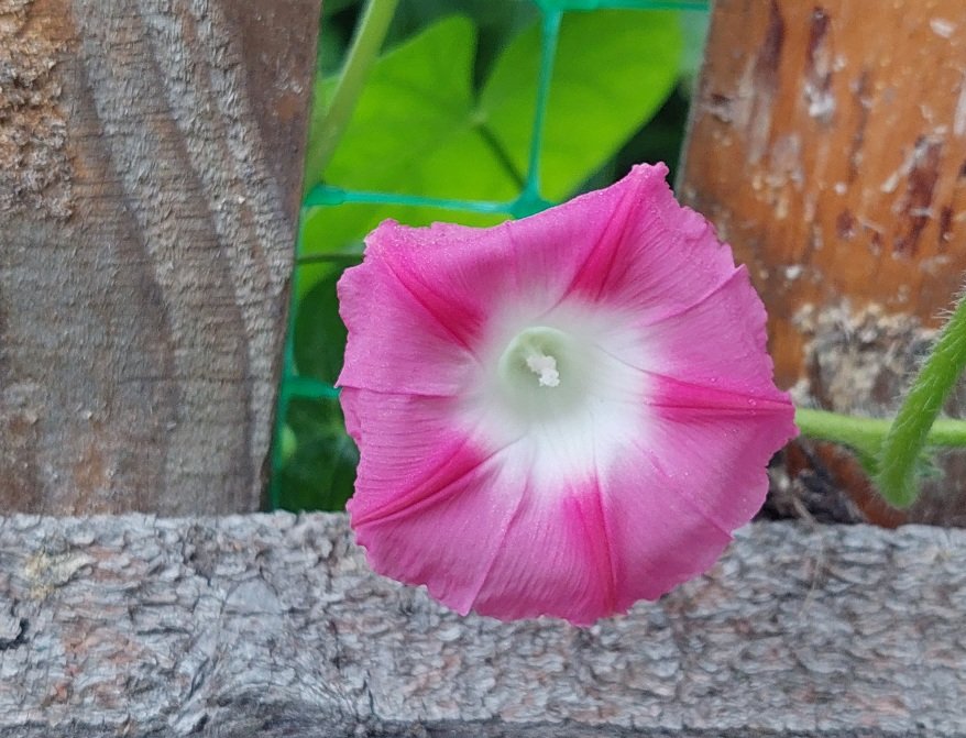 20250824_054347.jpg