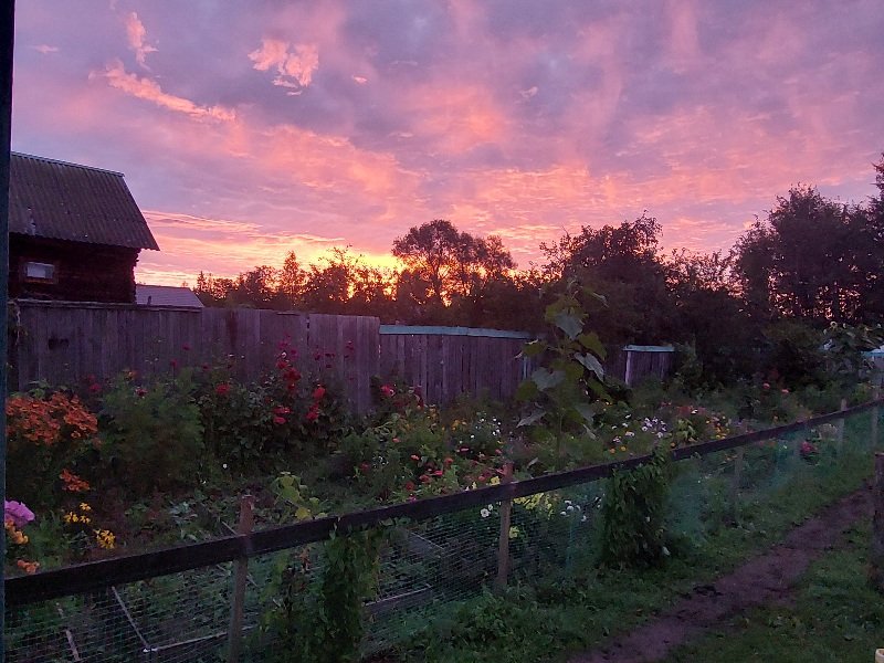 20250829_051745.jpg