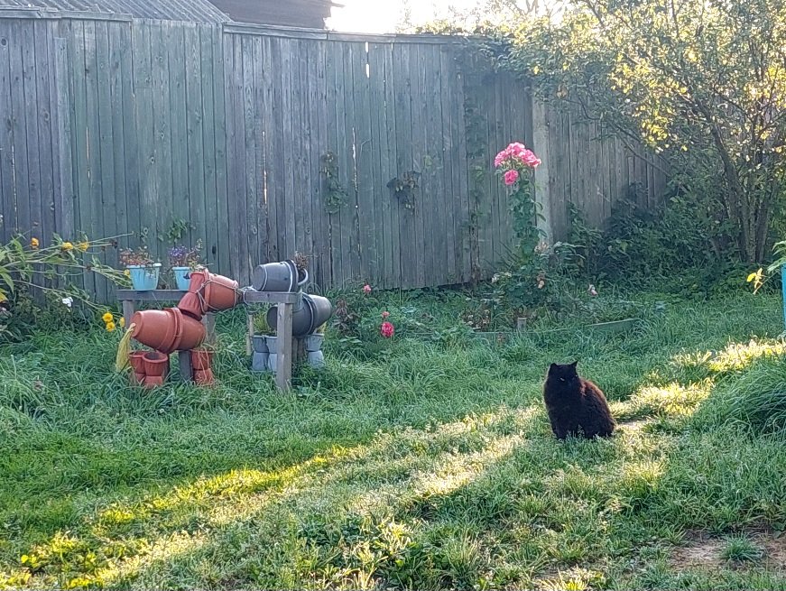 20250909_072142.jpg