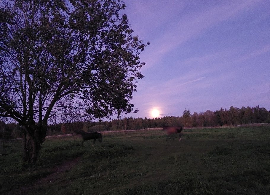 20250909_194836.jpg