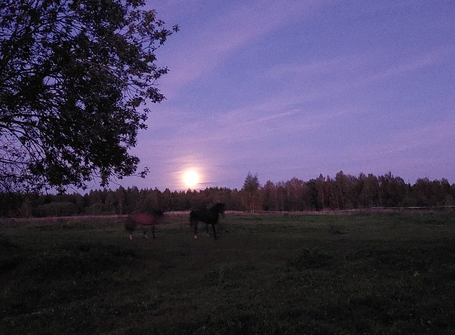 20250909_195015.jpg