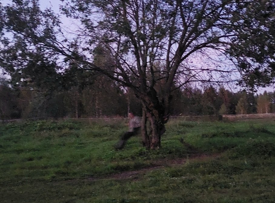 20250909_195103.jpg