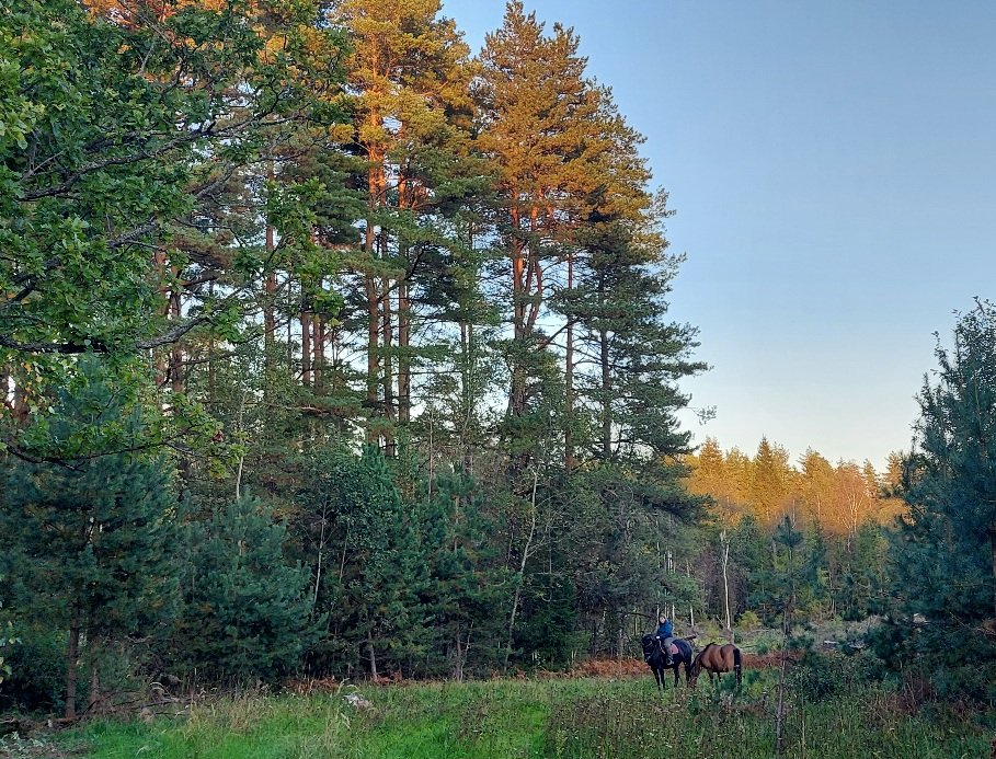 20250910_182706.jpg