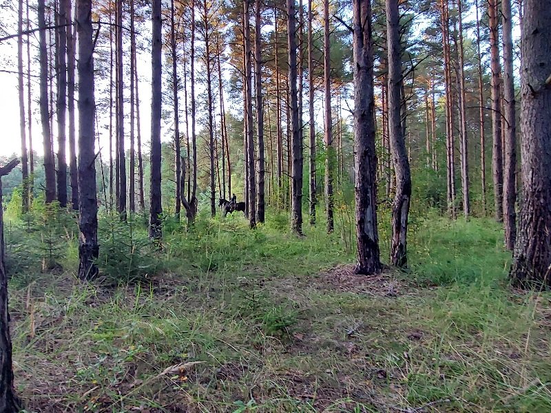 20250910_183407.jpg