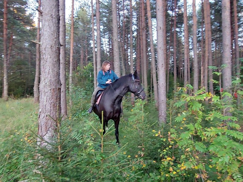 20250910_183839.jpg