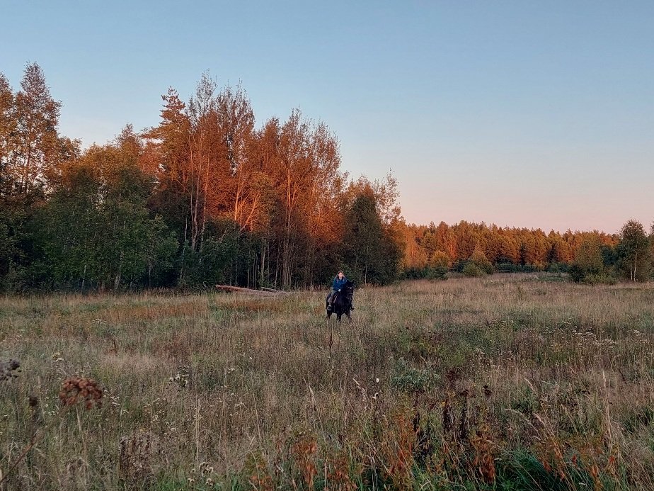 20250910_184707.jpg