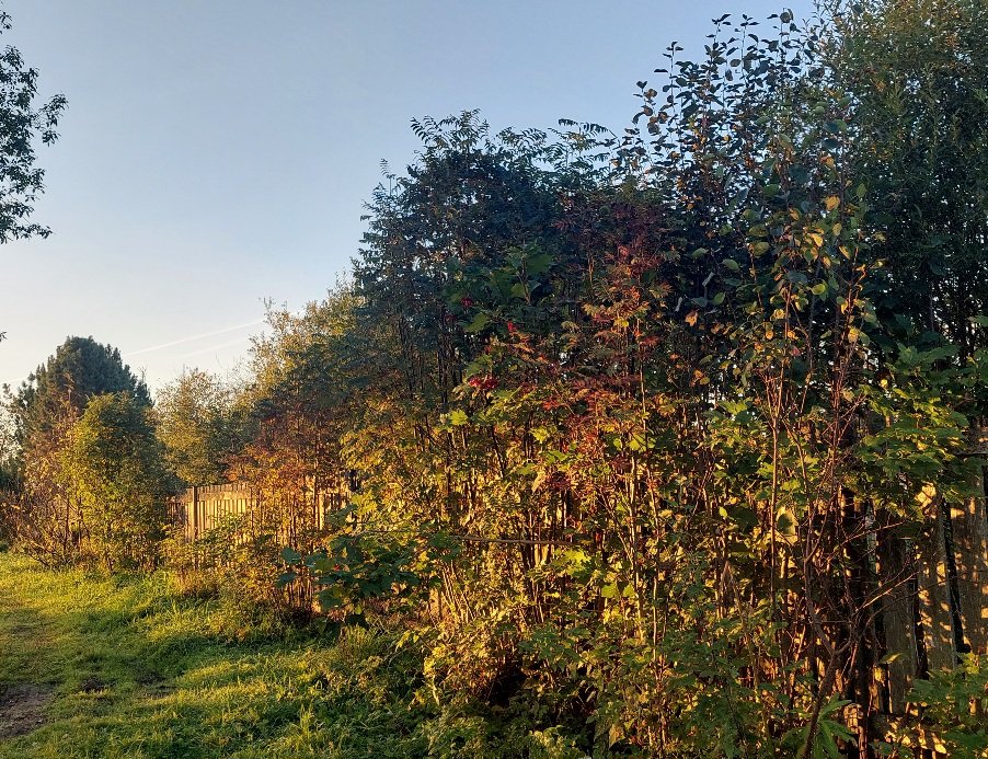 20250913_062307.jpg