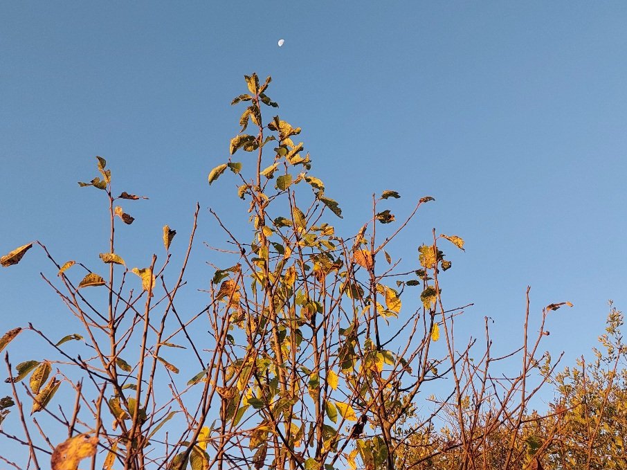 20250913_062414.jpg