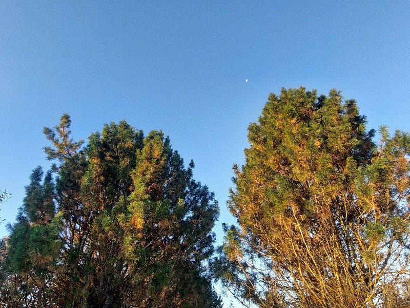 20250913_062526.jpg