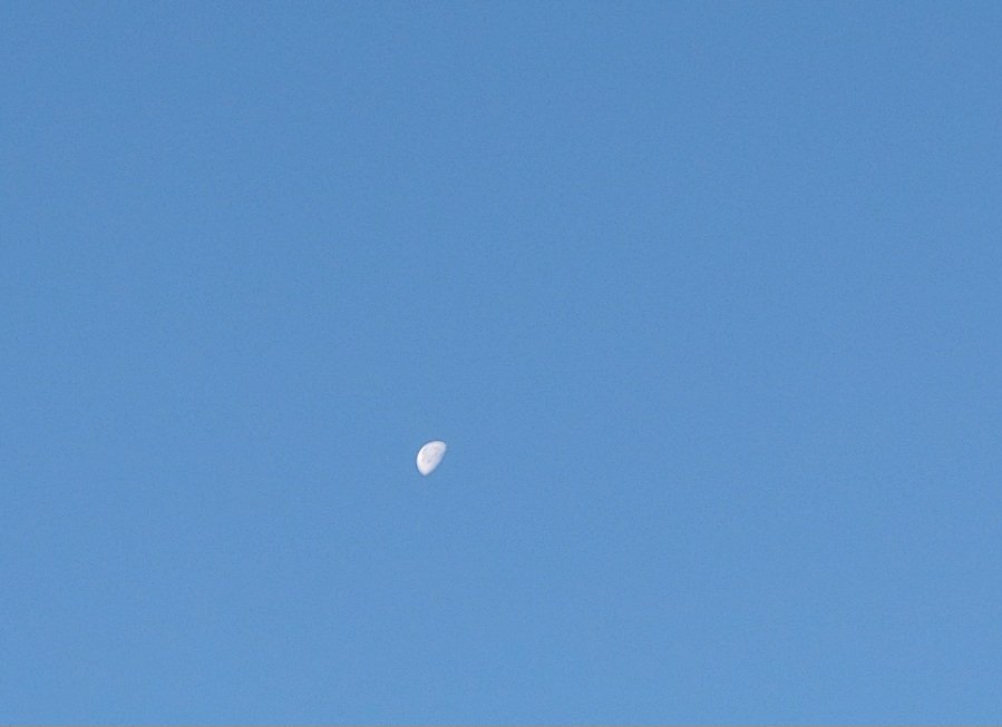 20250913_062850.jpg