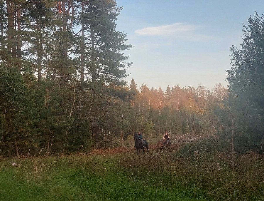 20250914_181740.jpg