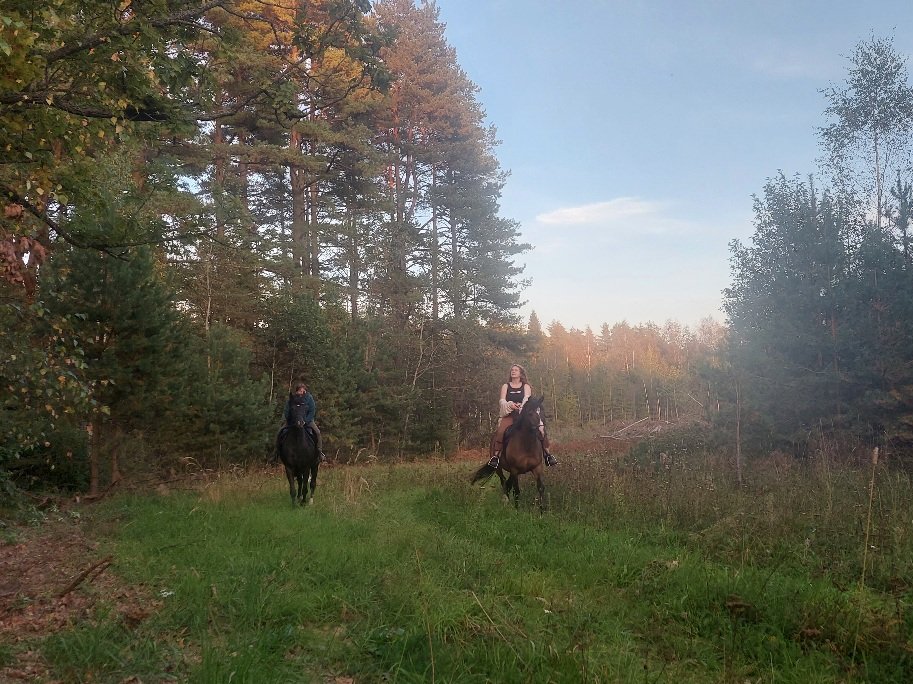 20250914_181753.jpg