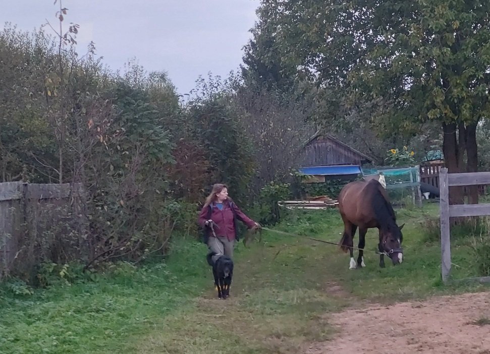 20250918_183228.jpg