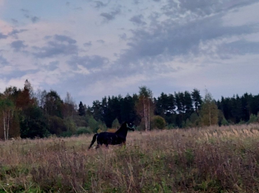 20250918_183854.jpg