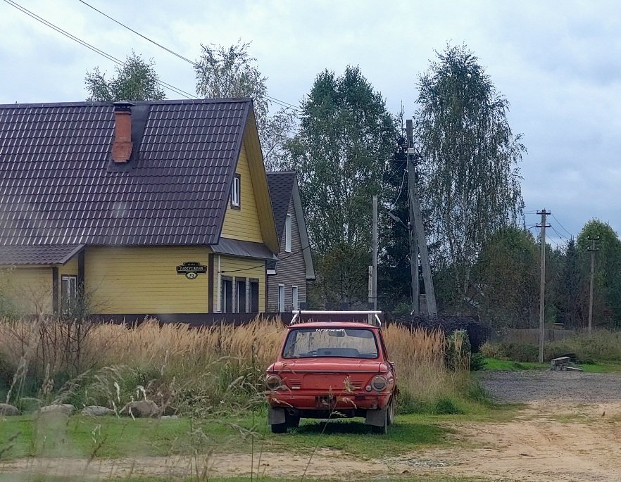 20250919_123552.jpg