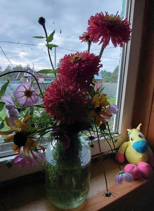 20250920_181820.jpg