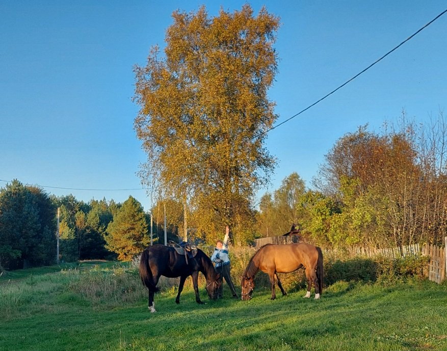 20250922_173417.jpg