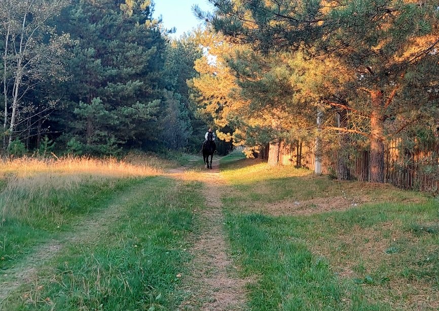 20250922_174225.jpg