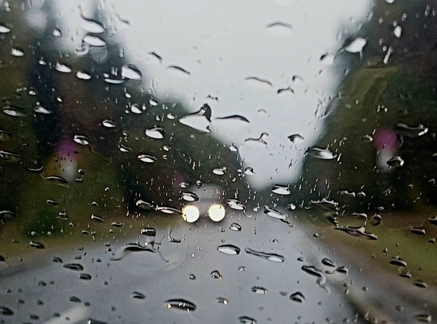 20250923_162023.jpg