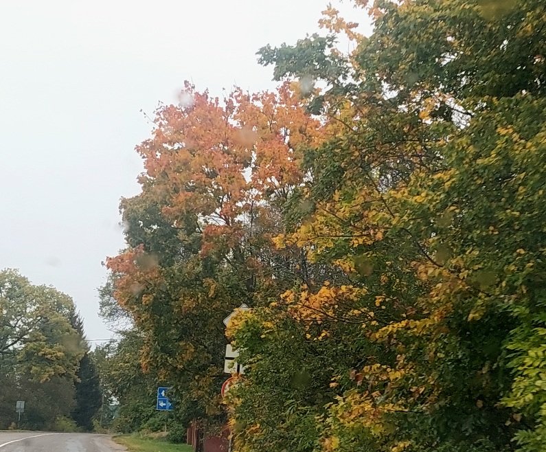 20250923_162312.jpg