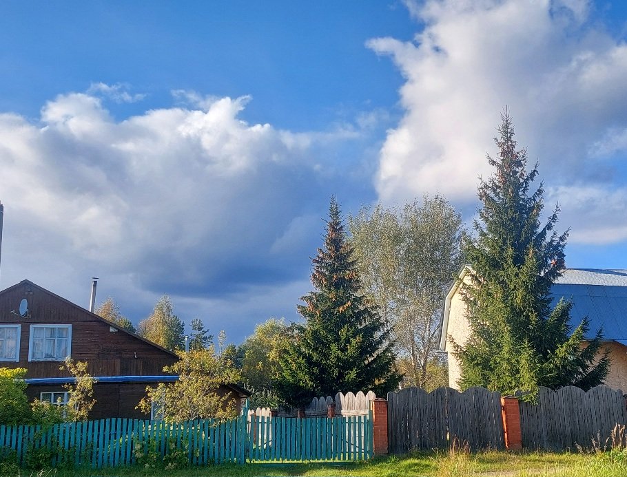 20250924_154403.jpg