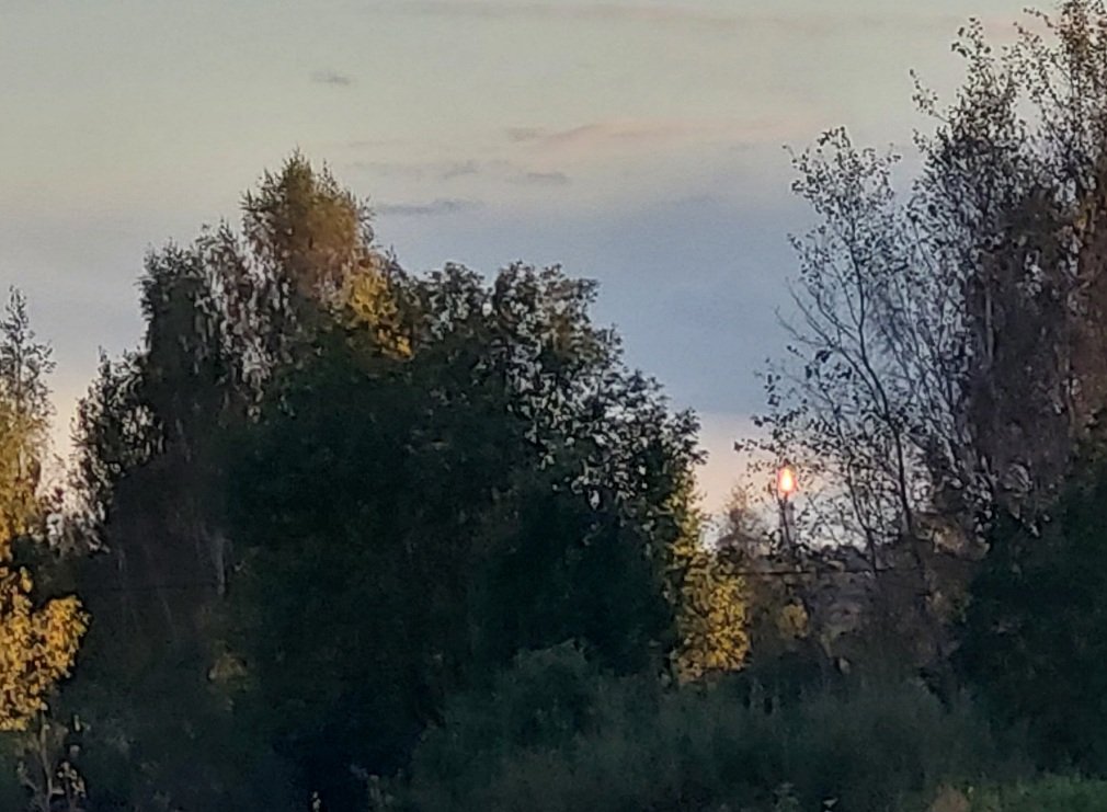 20250924_175203.jpg