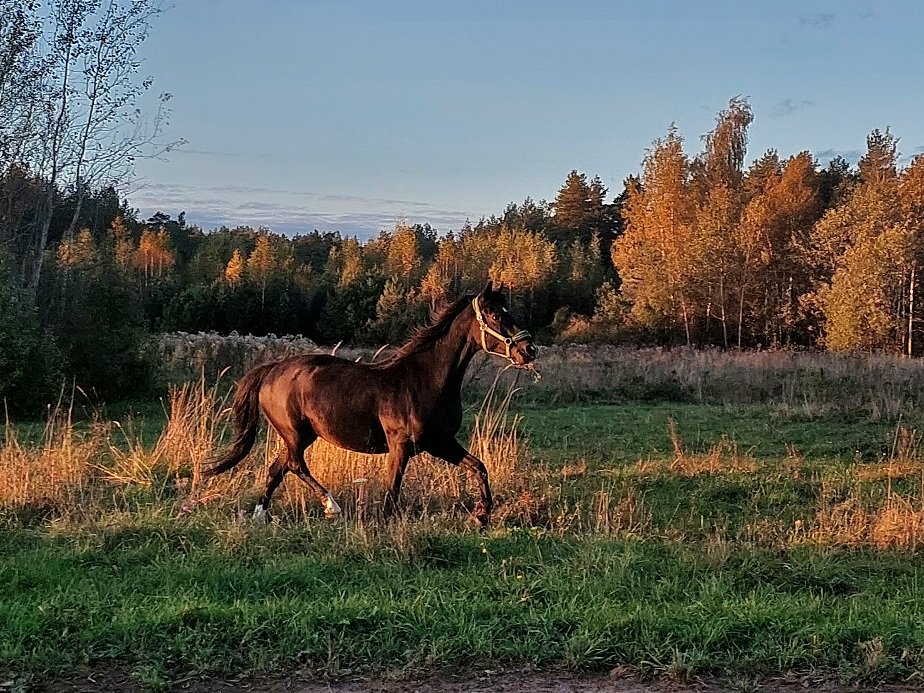 20250924_175651.jpg