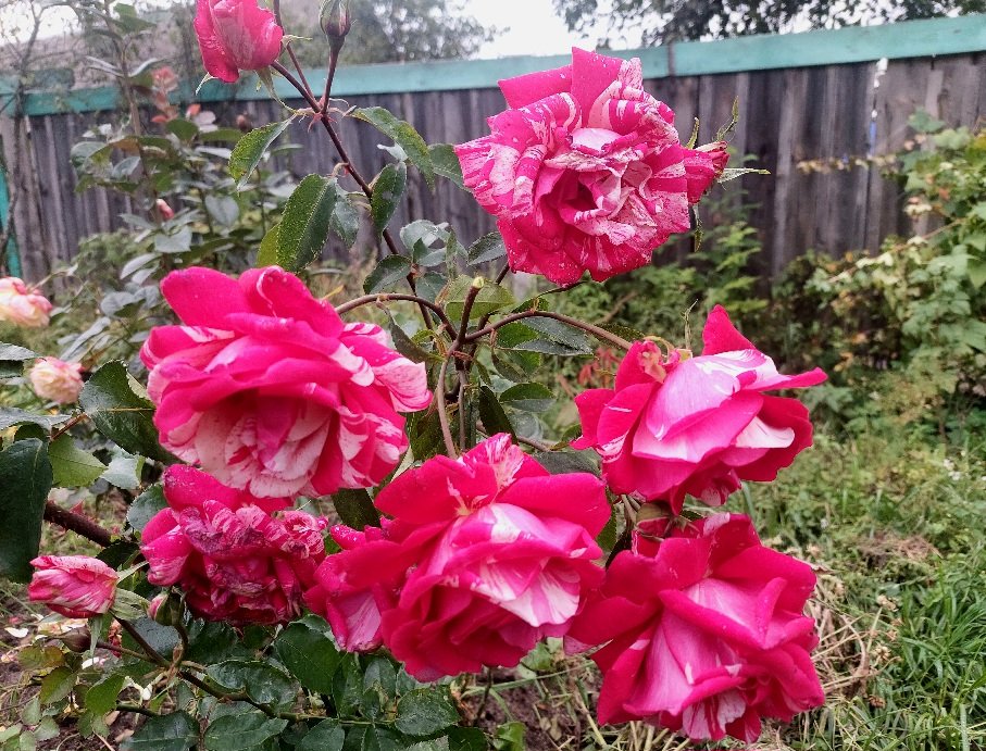 20250925_150756.jpg
