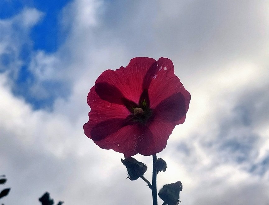 20250928_144146.jpg