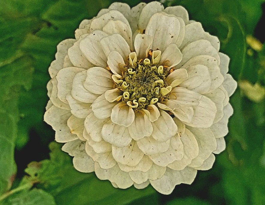20250928_145159.jpg