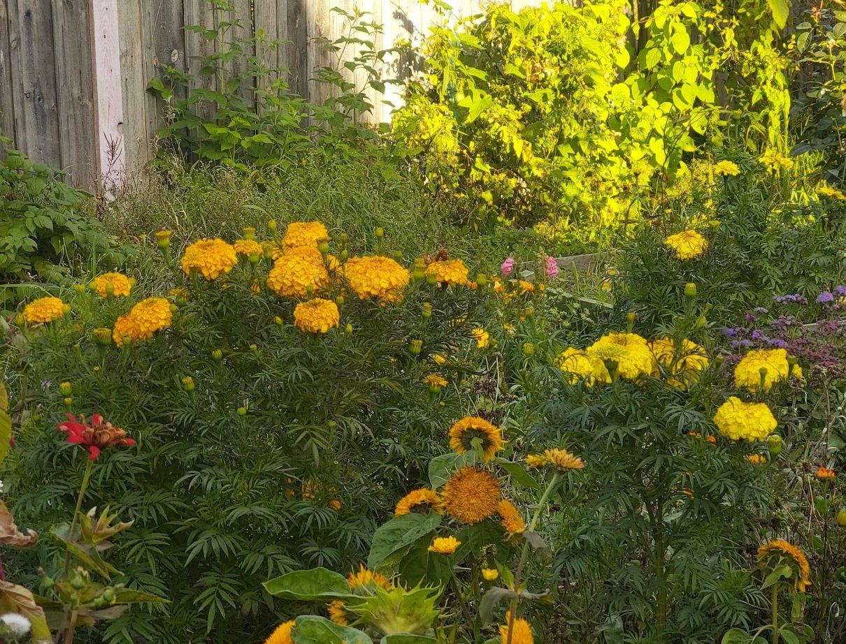 20250929_165729.jpg