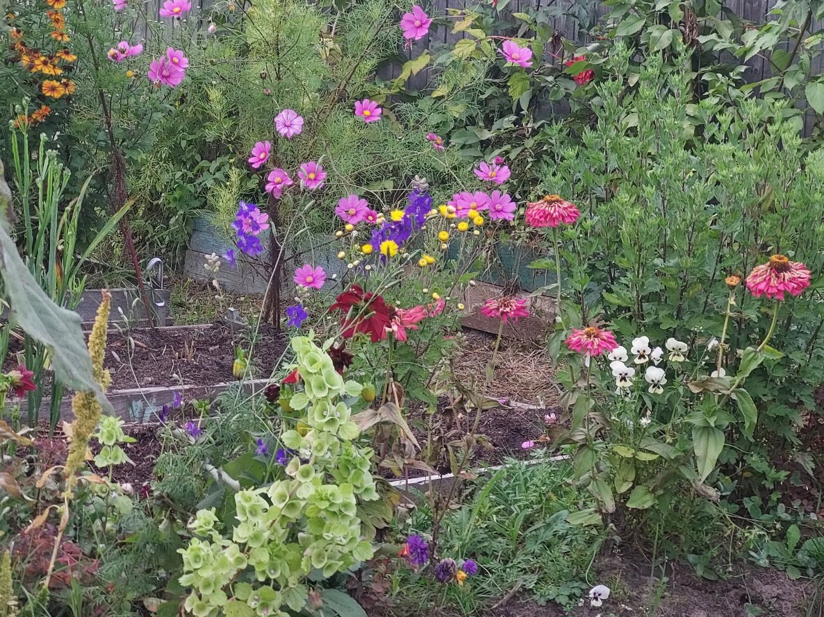 20250929_165817.jpg