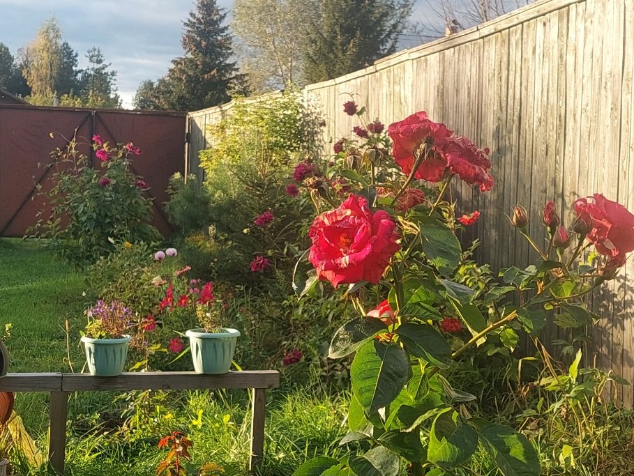 20250929_165855.jpg