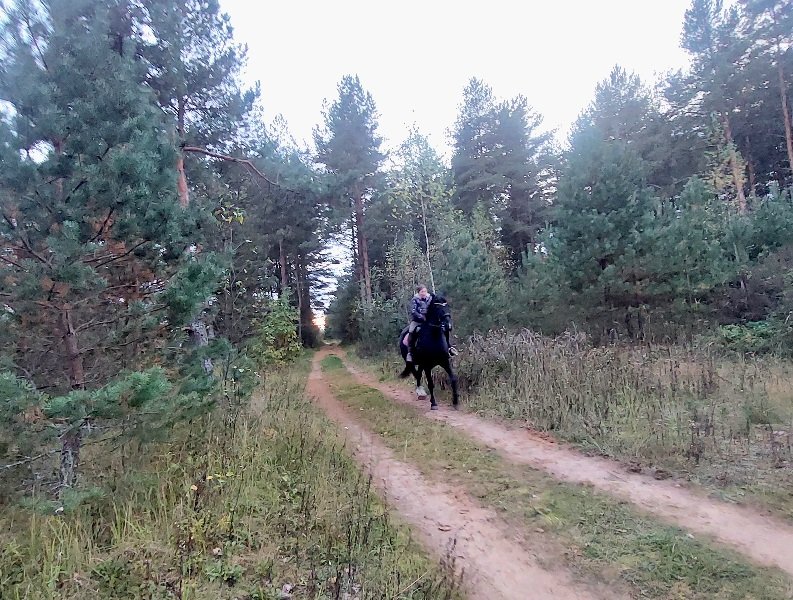 20250929_180927.jpg