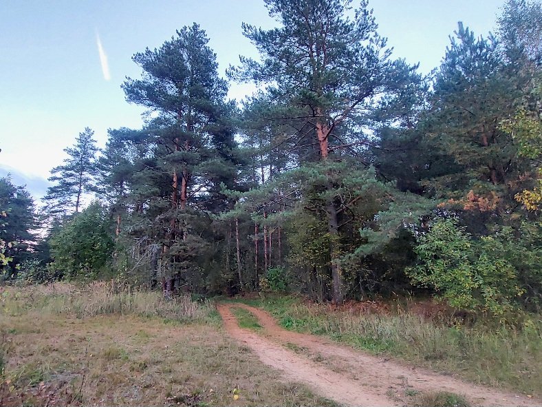20250929_181002.jpg