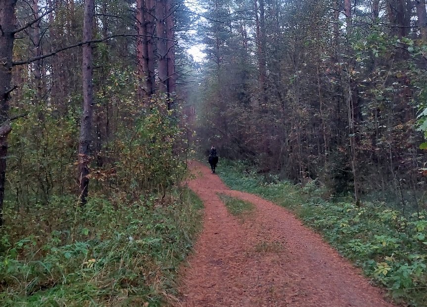 20250929_181206.jpg