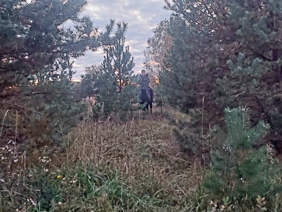 20250929_182744.jpg