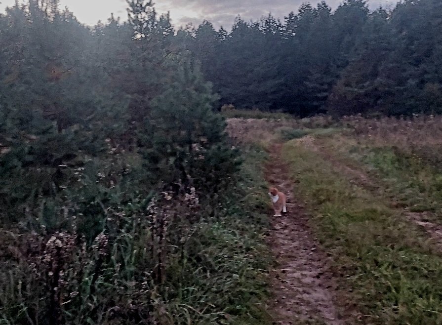 20250929_182747.jpg