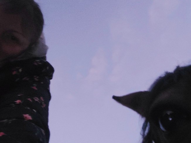 20250929_183729.jpg