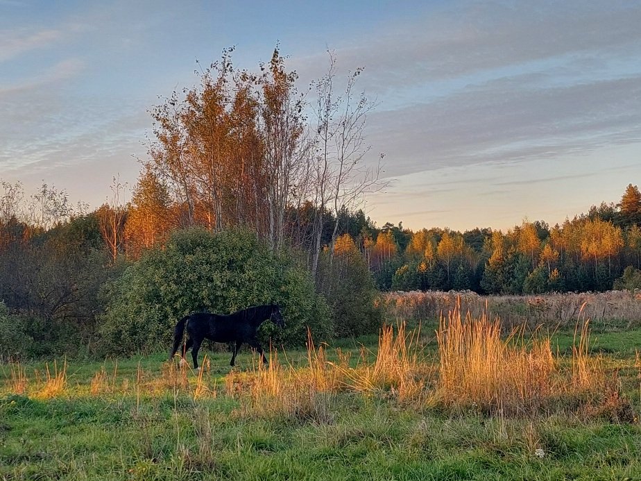 20250930_174640.jpg