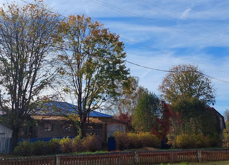 20251002_113250.jpg