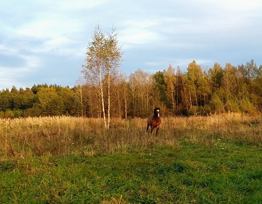 20251002_171339.jpg